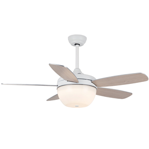 Remote ceiling fan with led