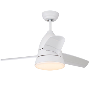 Ceiling fan with led light